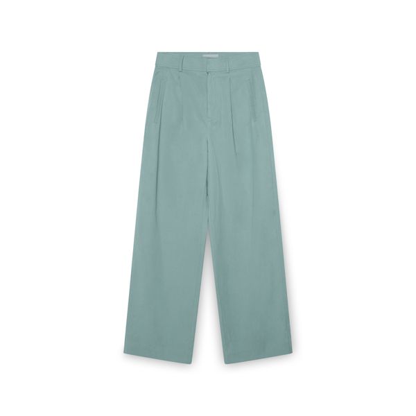 Everlane Way-High Drape Pants