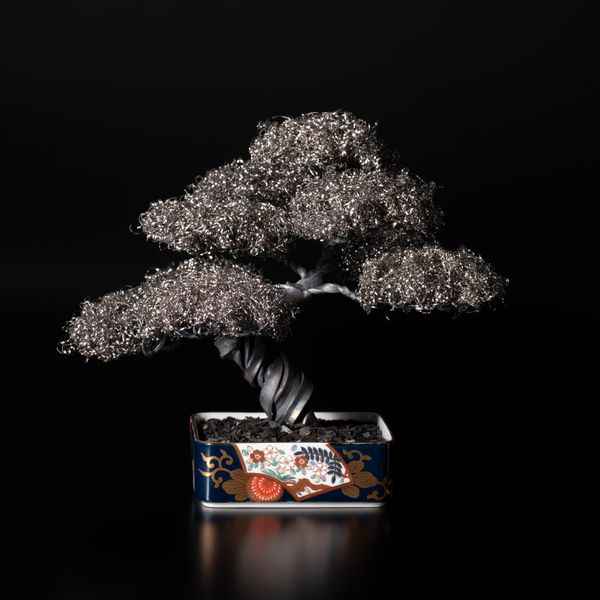 METAL BONSAI Ver. SHINPAKU "新柏" with ARITA 