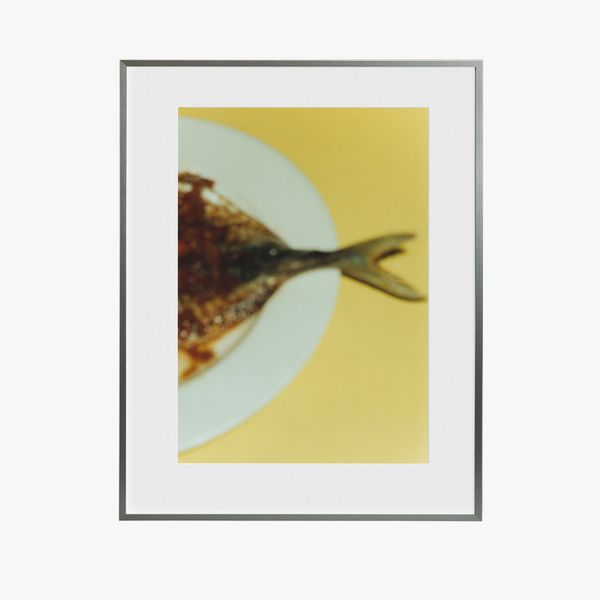 Fish in Yellow