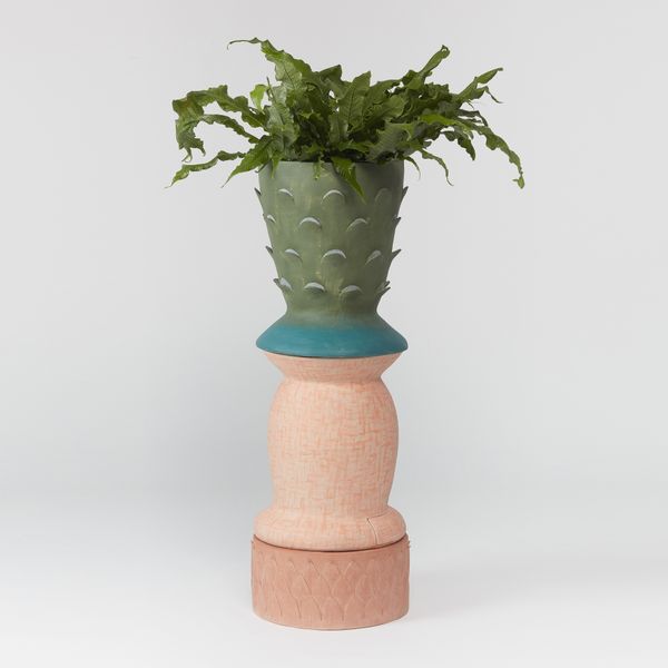 Succulent Pot by Rosa Cortiella