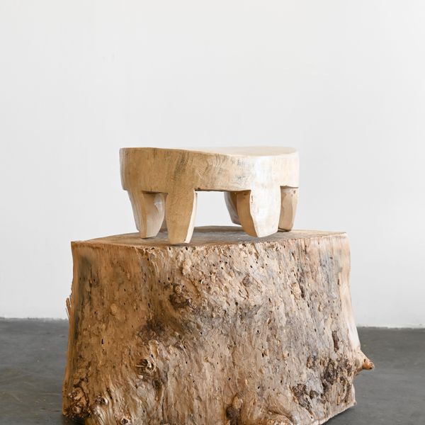 Eucalyptus Wood Sculptural Riser