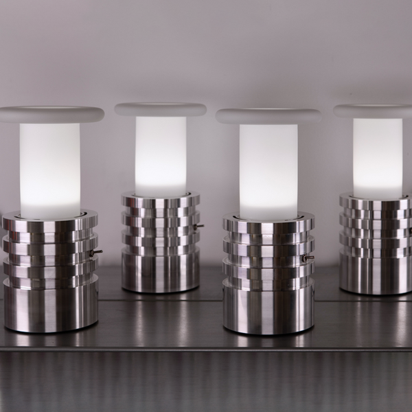 Mycelium Lamp in Matte White