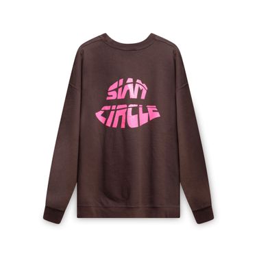 Brown SC Sweater
