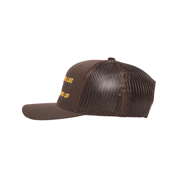 Everything Hat in Brown