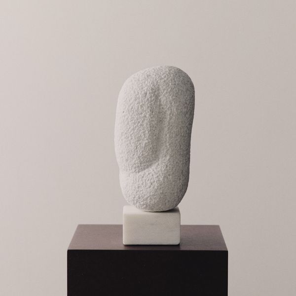 Untitled Biomorphic Work in Marble by Anna Mizak