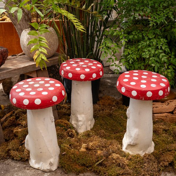 Mushroom Stools