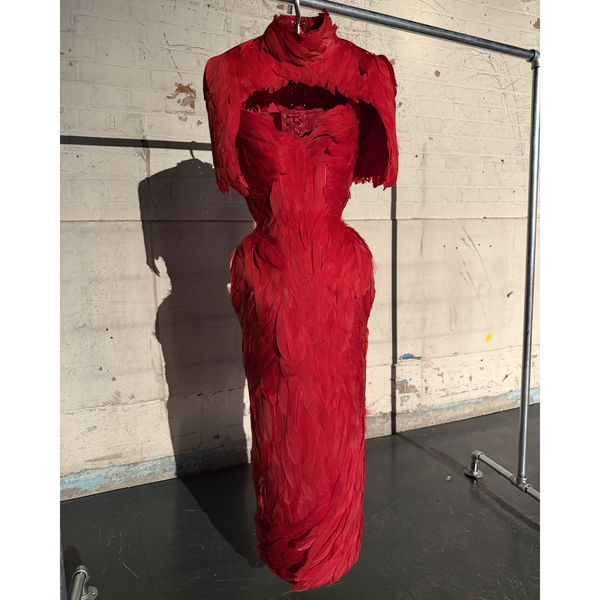 Phoenix Dress