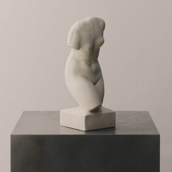 White Plaster Neoclassical Venus Torso