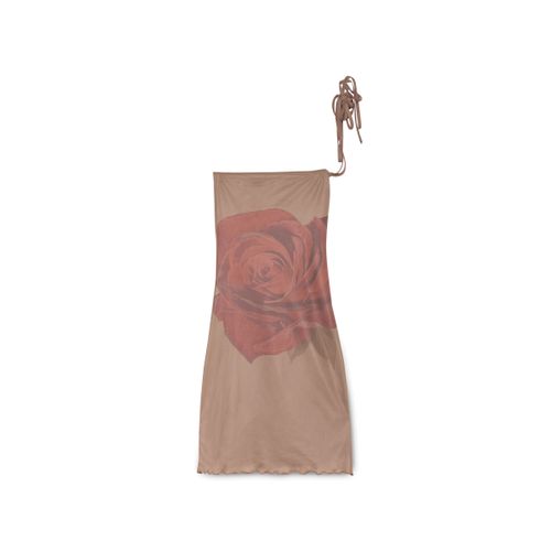 Tiger Mist Rose Print Dress