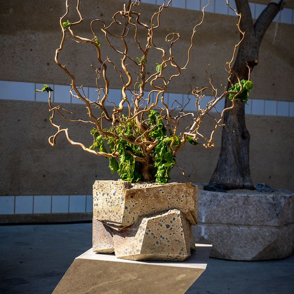 RED MAJESTIC IN JONATHAN CROSS