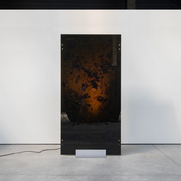 Flower Infused Glass Panels