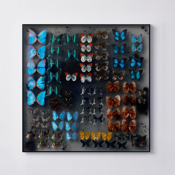 FLIGHT ARCHIVE