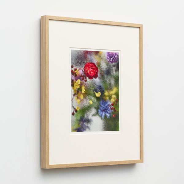 Violet Frosted Print 3