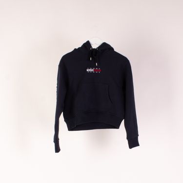 Tommy Jeans Outdoors Expedition Hoodie 