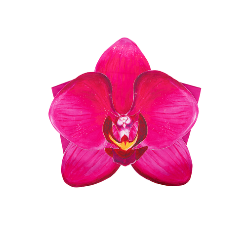Orchid Flower Top