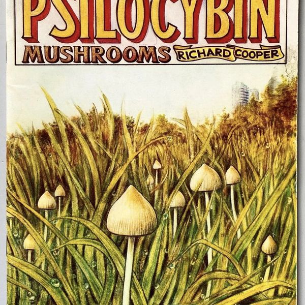 A Guide To British Psilocybin Mushrooms