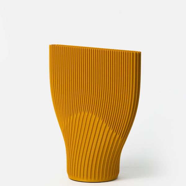 Fluke Vase