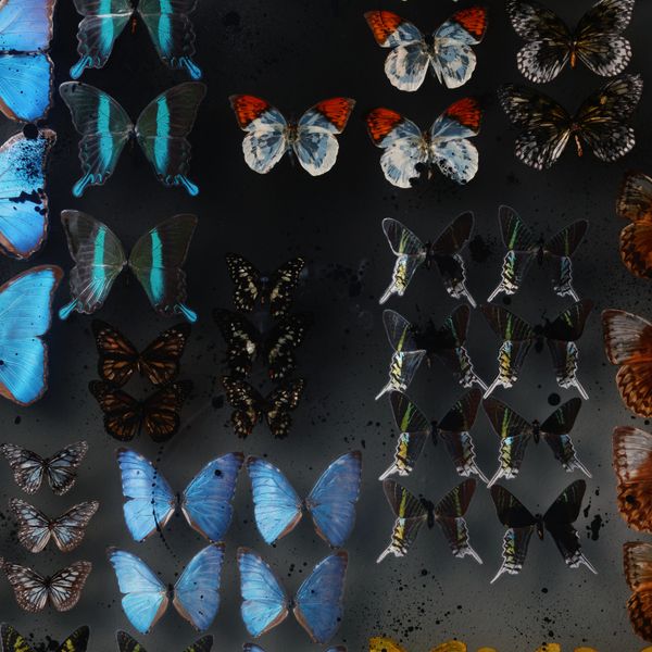 FLIGHT ARCHIVE