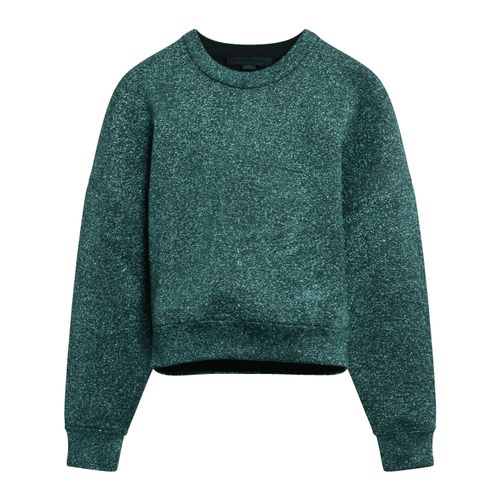 Alexander Wang Sparkle Knit Cropped Sweater