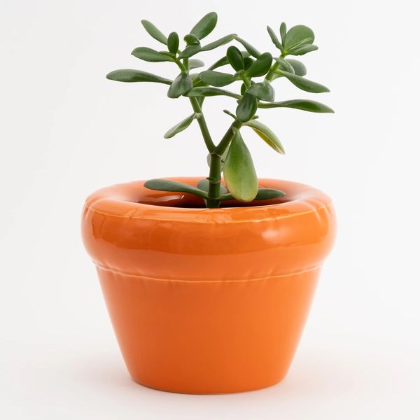 Planter 'PIERRE' Carrot Gloss