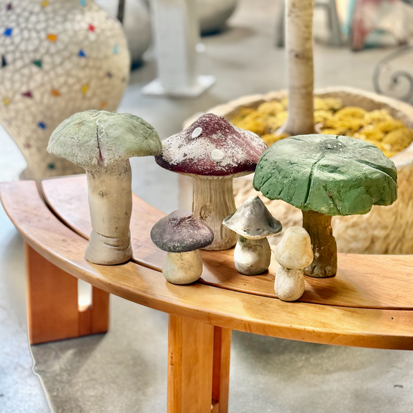 Set of French Mushrooms from the 60s