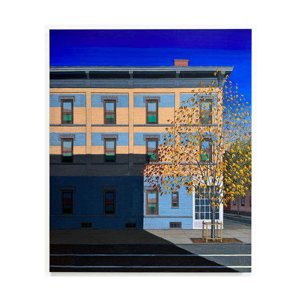 Landscape Curtains by Henry Glavin, 2024