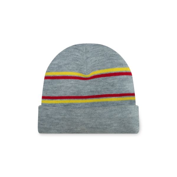 Venture Striped Beanie