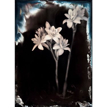Tuberoses by Lara Porzak, 2020