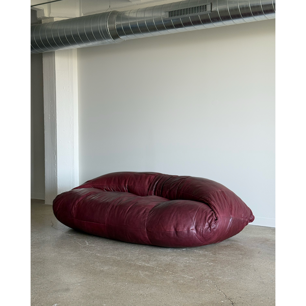 Oxblood Leather Sofa and Ottoman Set by Raphael Raffel for Honoré Paris, France, 1970