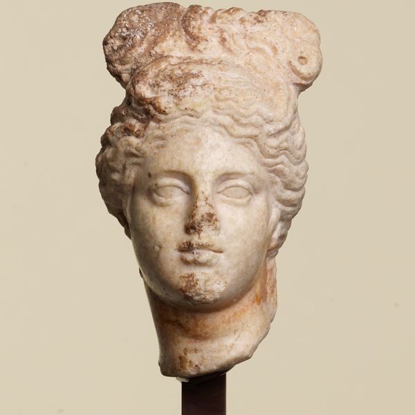 Head of Aphrodite