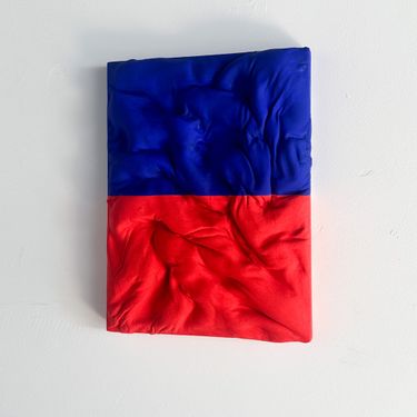 Skin Contact (Bruise/Blue)