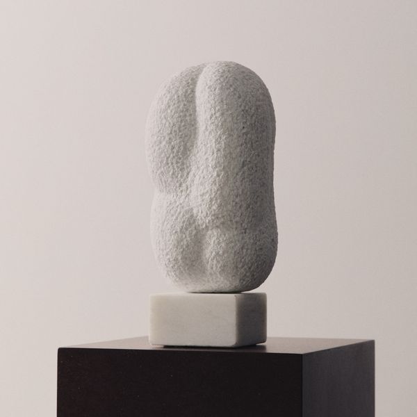 Untitled Biomorphic Work in Marble by Anna Mizak