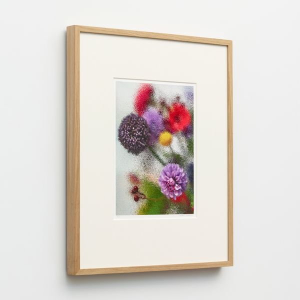 Violet Frosted Print 4