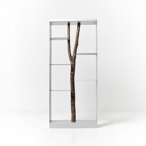 Piccolo Albero Bookcase by Andrea Branzi, 1991