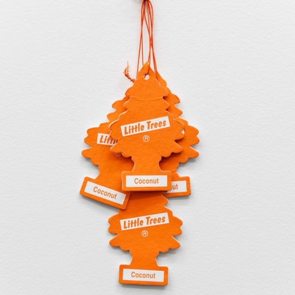 Coconut, Coconut, Coconut, Coconut by Mitchell Charbonneau, 2023