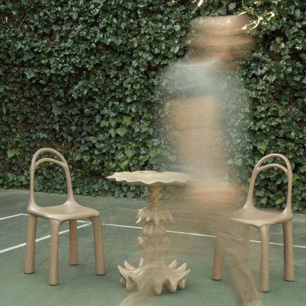 Elephantine Chair