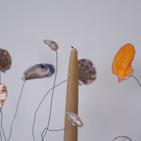 Candlestick - Shells