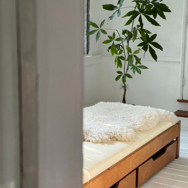 Finnish Birch Storage Trundle Single Bed by Averskogs Industrier