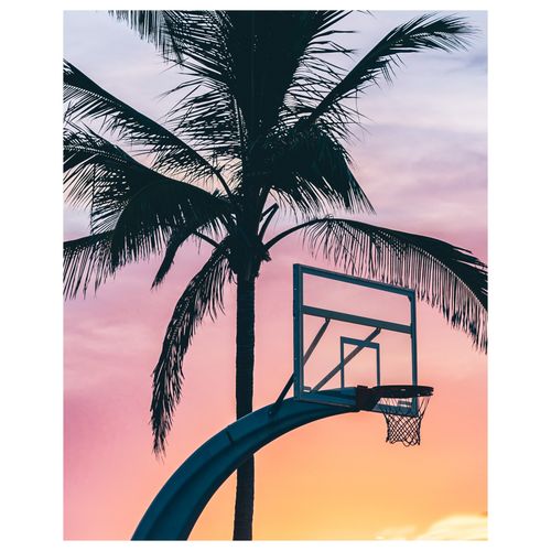 Print #2- 12 x 15"