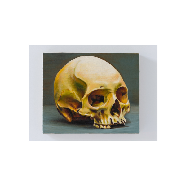 Skull by Edward Givis, 2024