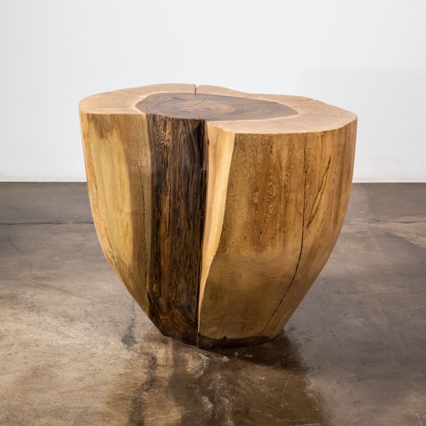 Francisco Live Edge Trunk Table ƒ 42