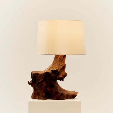 Sculptural Root Table Lamp