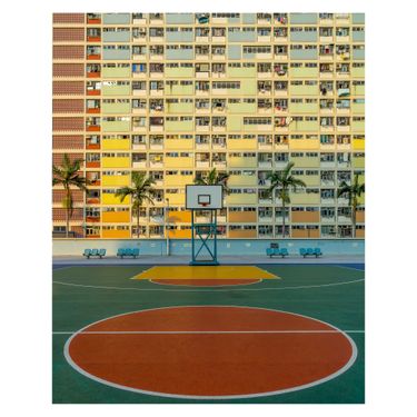 Print #3- 16 x 20"