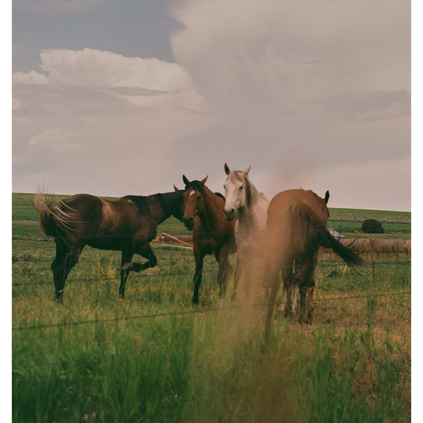 Firlmmprint From "Art Of Impatience" By Artist Conrad Dornan