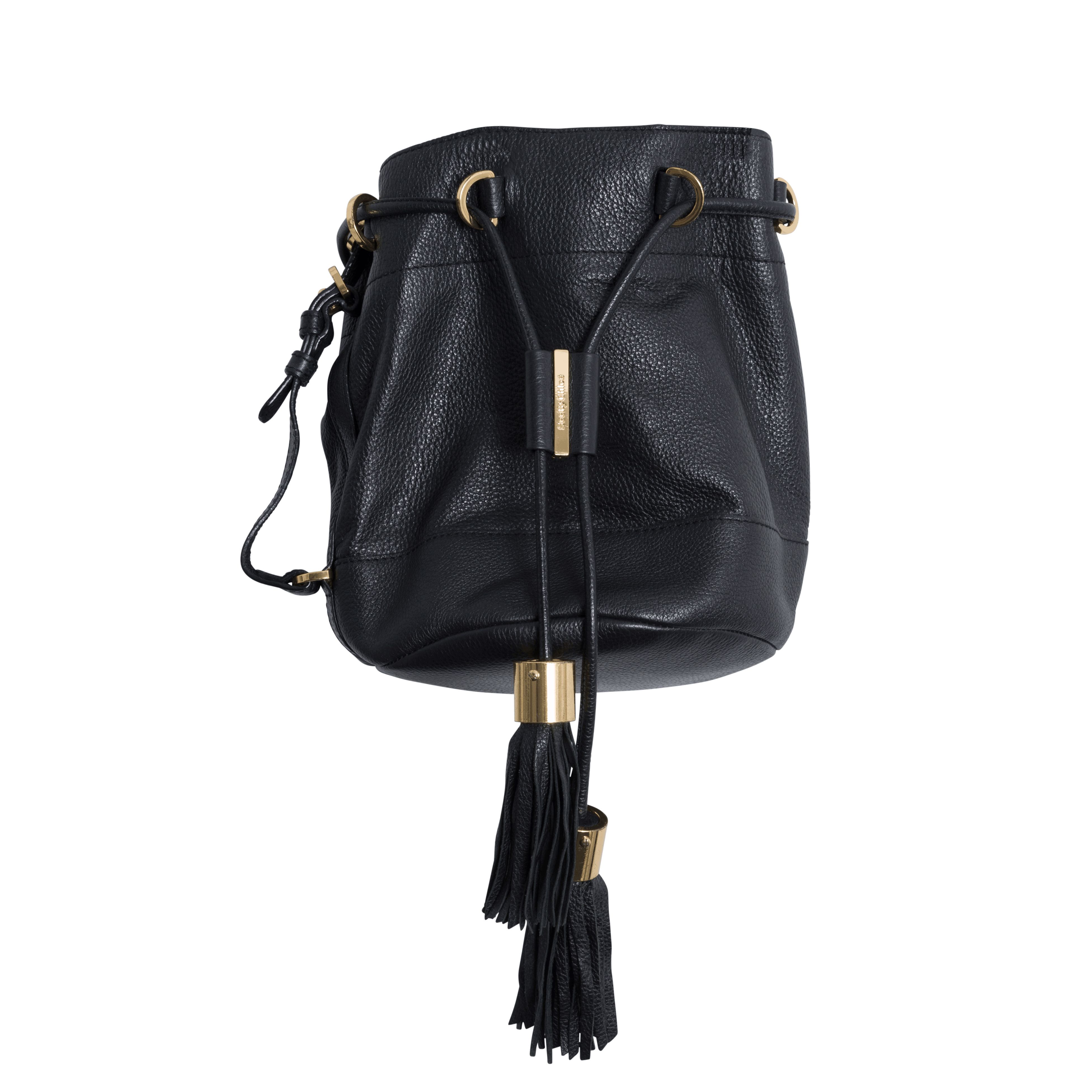 Chloe discount claire bag