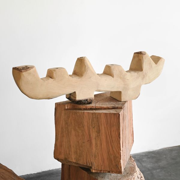South African Blue Gum Candelabra
