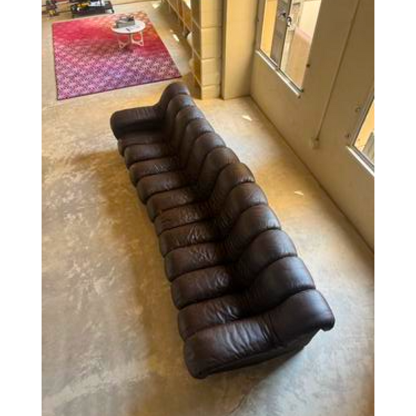 Desede Non-Stop Snake Sofa