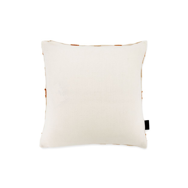 Outdoor Pillow 0101