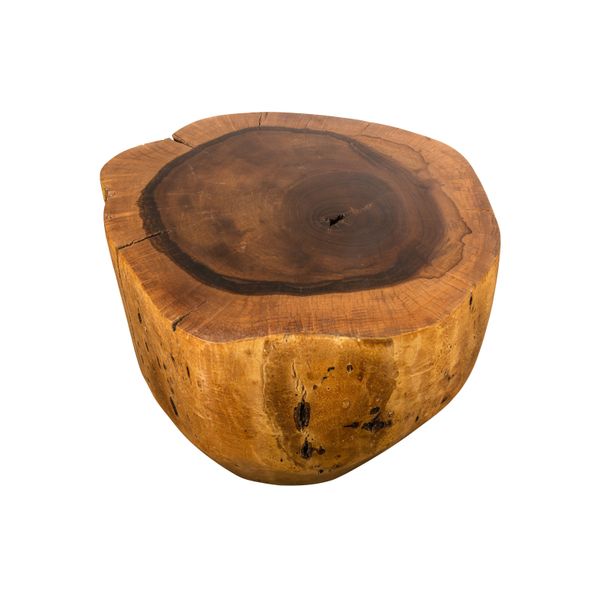 Francisco Live Edge Trunk Table ƒ 35