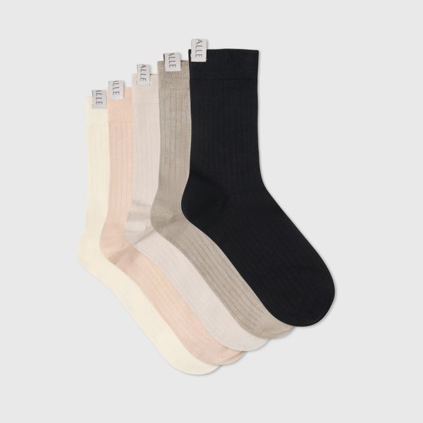 5-Pack Silk Ribbed Socks